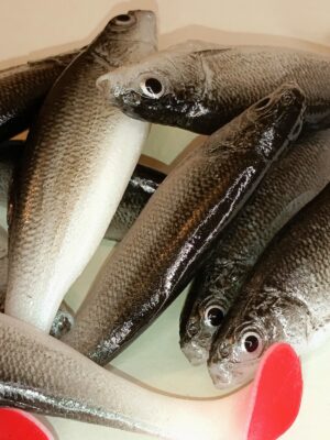 przynęty spinningowe natural na drapieżnika